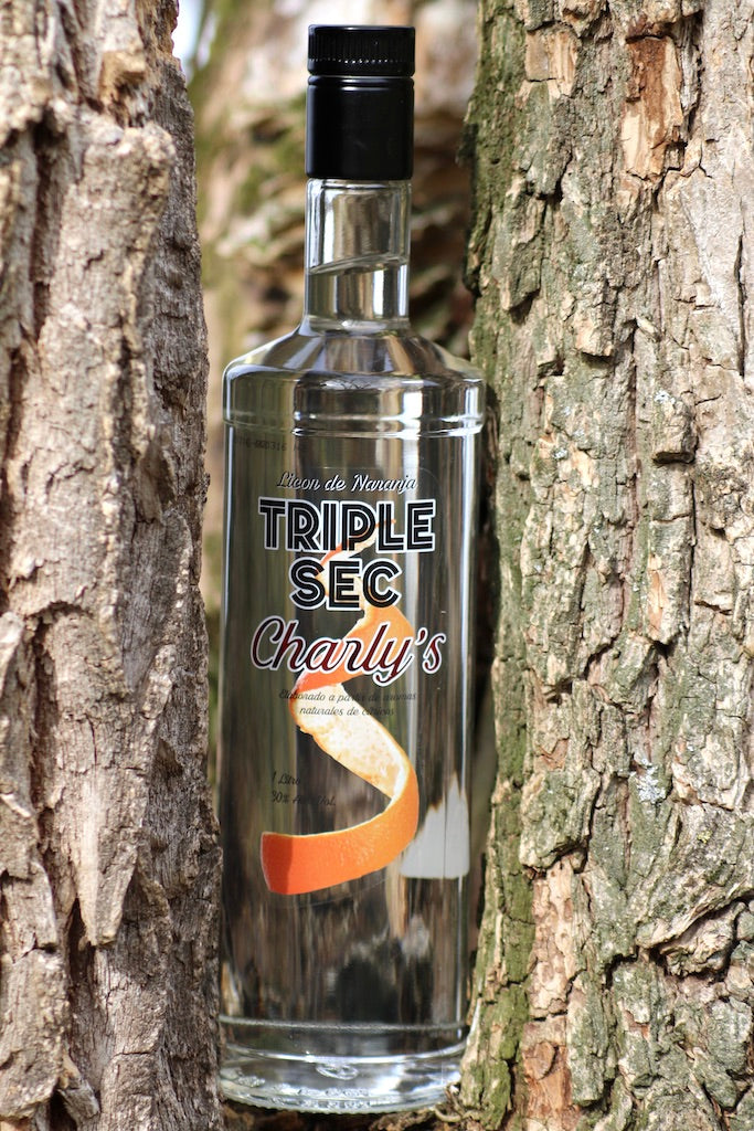 Flasche Triple Sec Charly’s zwischen zwei Baumstämmen, umgeben von Baumrinde