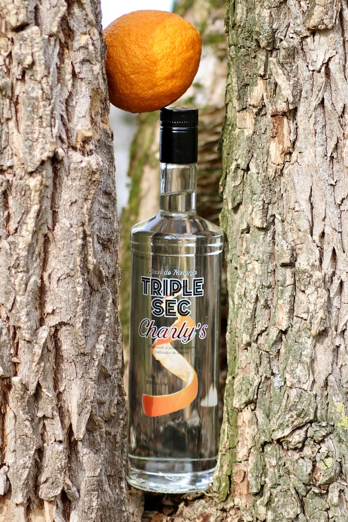 Flasche Triple Sec Charly’s zwischen zwei Baumstämmen, darüber eine Orange eingeklemmt