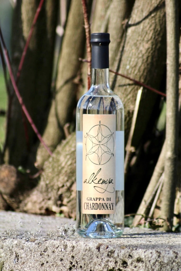 Flasche Grappa di Chardonnay mit hellem Etikett, stehend auf einer Steinmauer vor Baumstämmen und Ästen im Hintergrund.