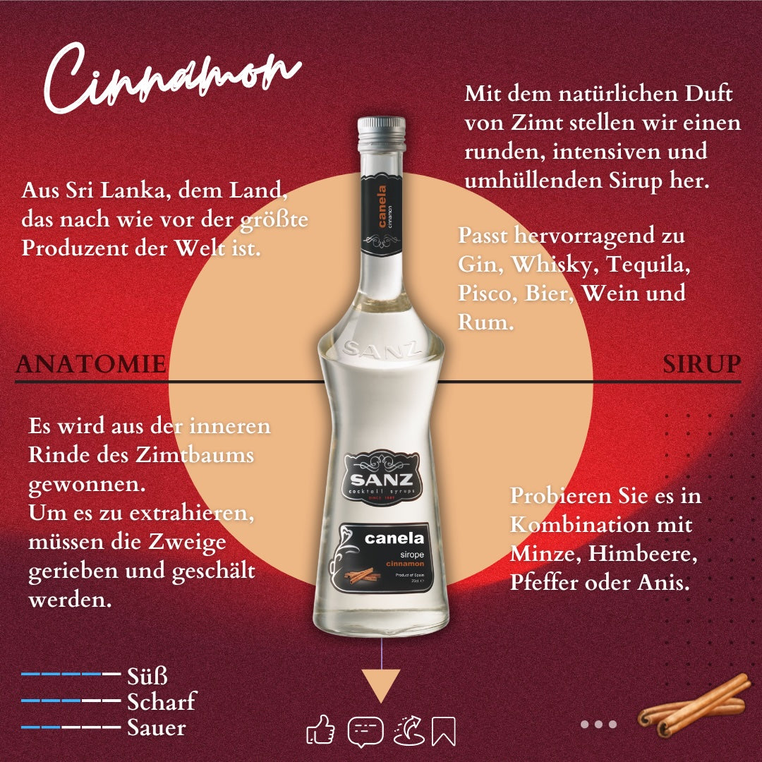Flasche Sanz Zimt-Sirup mit schwarzem Etikett, typografischer Info und Zimtaroma-Themen auf rotem Hintergrund