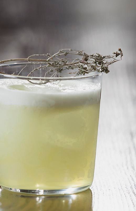 Pouchong Sour Cocktail im Rocks Glas mit weißem Schaum und getrocknetem Kräuterzweig auf weißem Untergrund