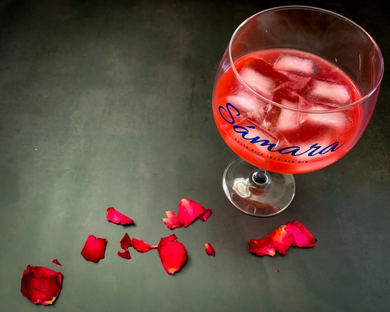 Rose Petal Cocktail im Glas mit roten Rosenblättern auf dunklem Hintergrund