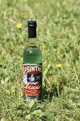 Grüne Absinth-Flasche von Bordiga mit rotem Etikett steht auf einer Wiese neben kleinen gelben Blumen.