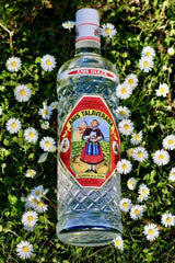 Anis Dulce Talaverana Anislikör Flasche auf Wiese mit weißen Gänseblümchen