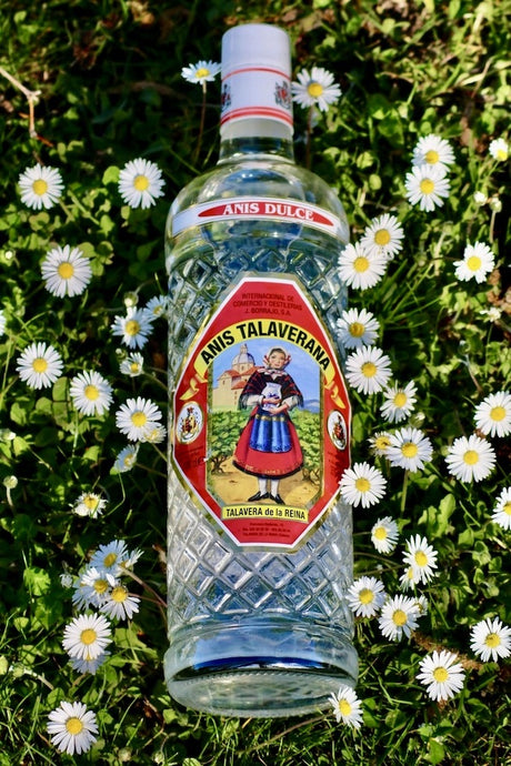 Anis Dulce Talaverana Anislikör Flasche auf Wiese mit weißen Gänseblümchen