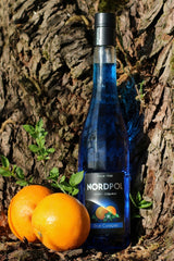 Flasche Nordpol Blue Curaçao Likör vor Baumrinde, daneben zwei Orangen und grüne Blätter im Sonnenlicht.