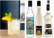 Caribbean Peach Cocktail mit Eis, Pfirsichscheibe und Minze, daneben Rum, Pfirsichlikör und Zuckersirup als Hauptzutaten.
