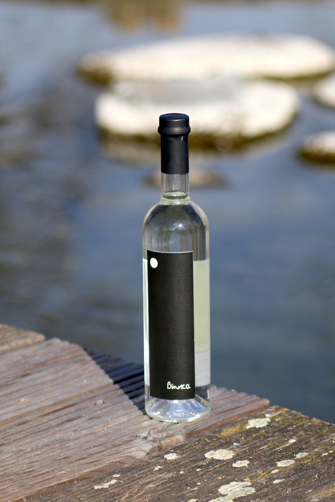 Genepy Bianco von Bordiga auf Holzsteg vor Wasserfläche mit Steinen im Hintergrund