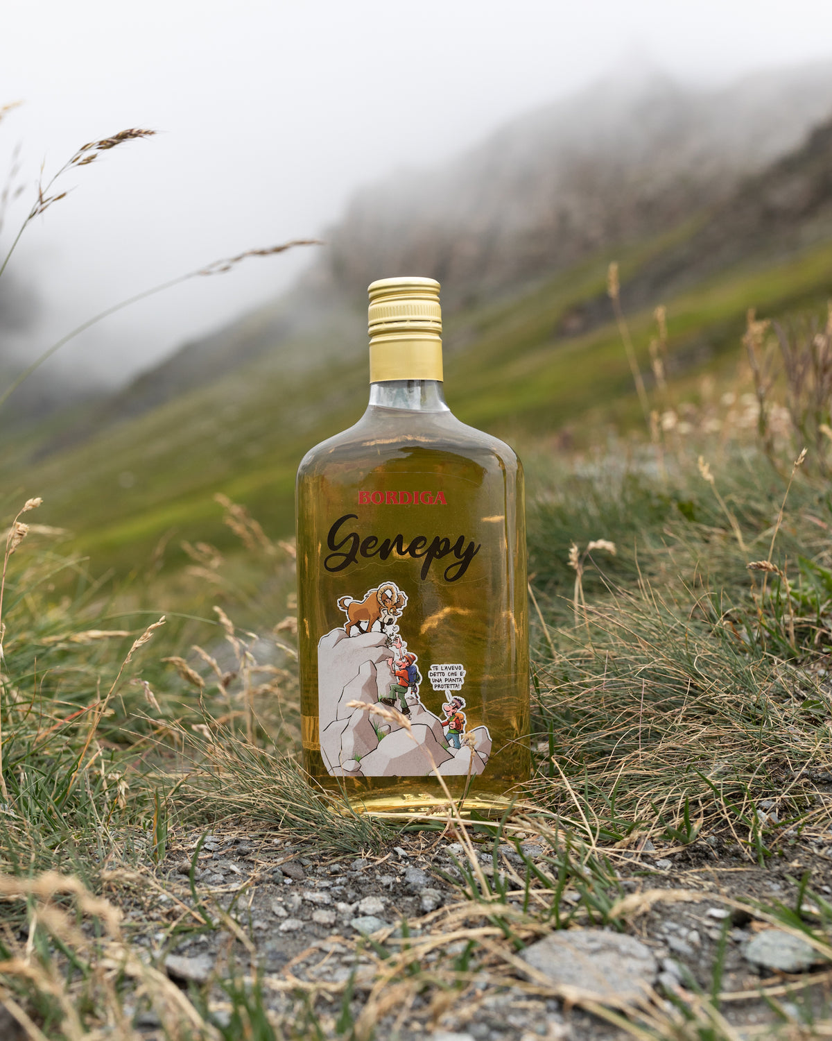 Flasche Bordiga Genepy Likör mit Comic-Illustration steht auf einem steinigen Pfad in alpiner Landschaft mit Nebel im Hintergrund.
