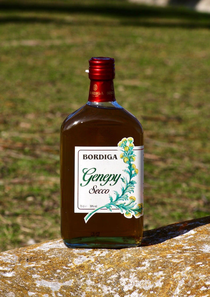Genepy Secco Kräuterlikör von Bordiga, stehend auf einem Stein mit grünem Hintergrund im Schatten