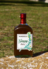 Genepy Secco Kräuterlikör von Bordiga, stehend auf einem Stein mit grünem Hintergrund im Schatten