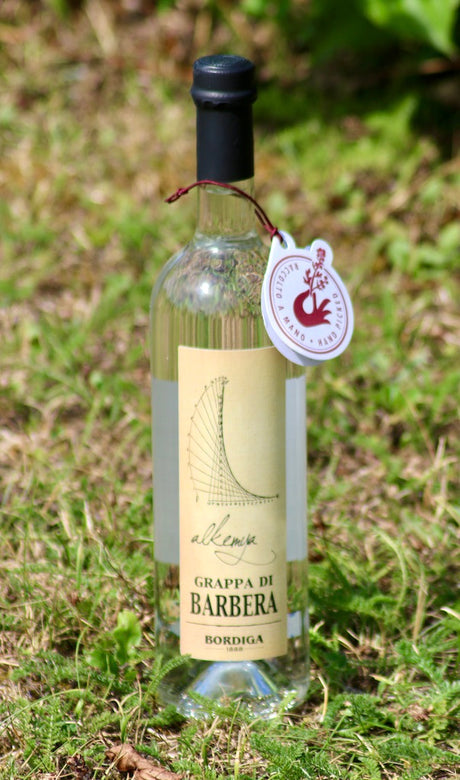 Flasche Grappa di Barbera Alkemya von Bordiga mit Etikett und Anhänger auf grünem, leicht unscharfem Naturhintergrund.