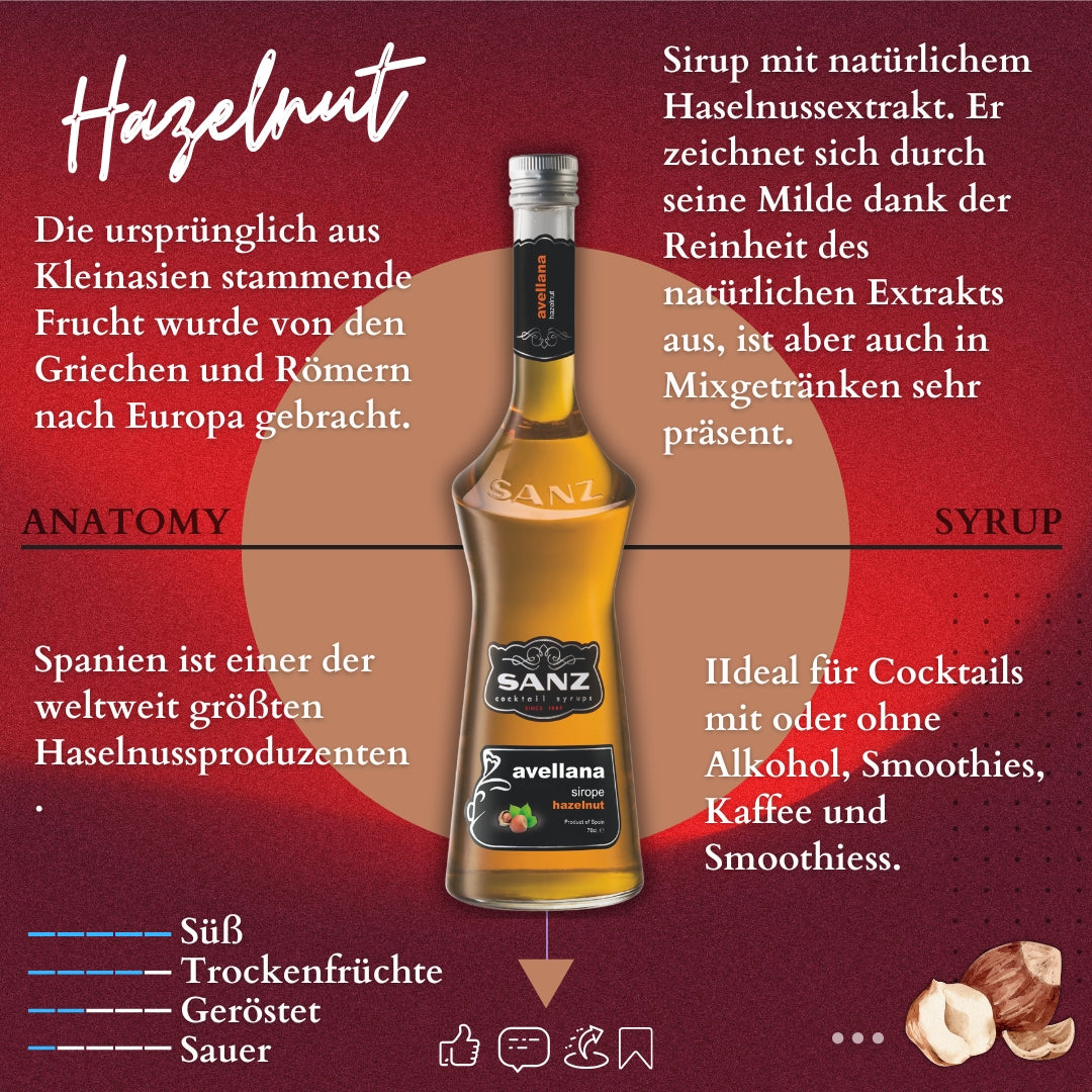 Sanz Haselnuss-Sirup mit Infos zu Herkunft, Aromenprofil, Verwendung in Cocktails, Kaffee und Smoothies vor rotem Hintergrund.