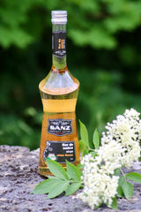 Holunderblütensirup Sanz 0,7L auf Stein mit frischen Holunderblüten, grüner Naturhintergrund.