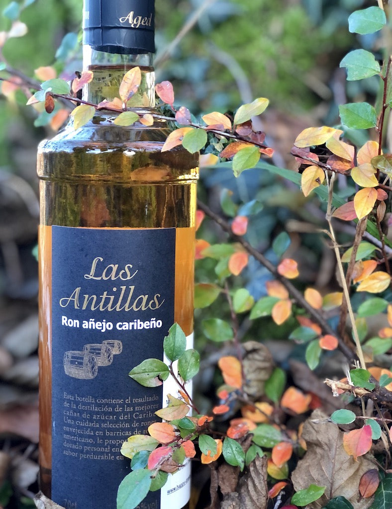 Flasche Las Antillas Ron Añejo Caribeño im Gebüsch mit bunten Herbstblättern, schwarzes Etikett mit goldener Schrift. 