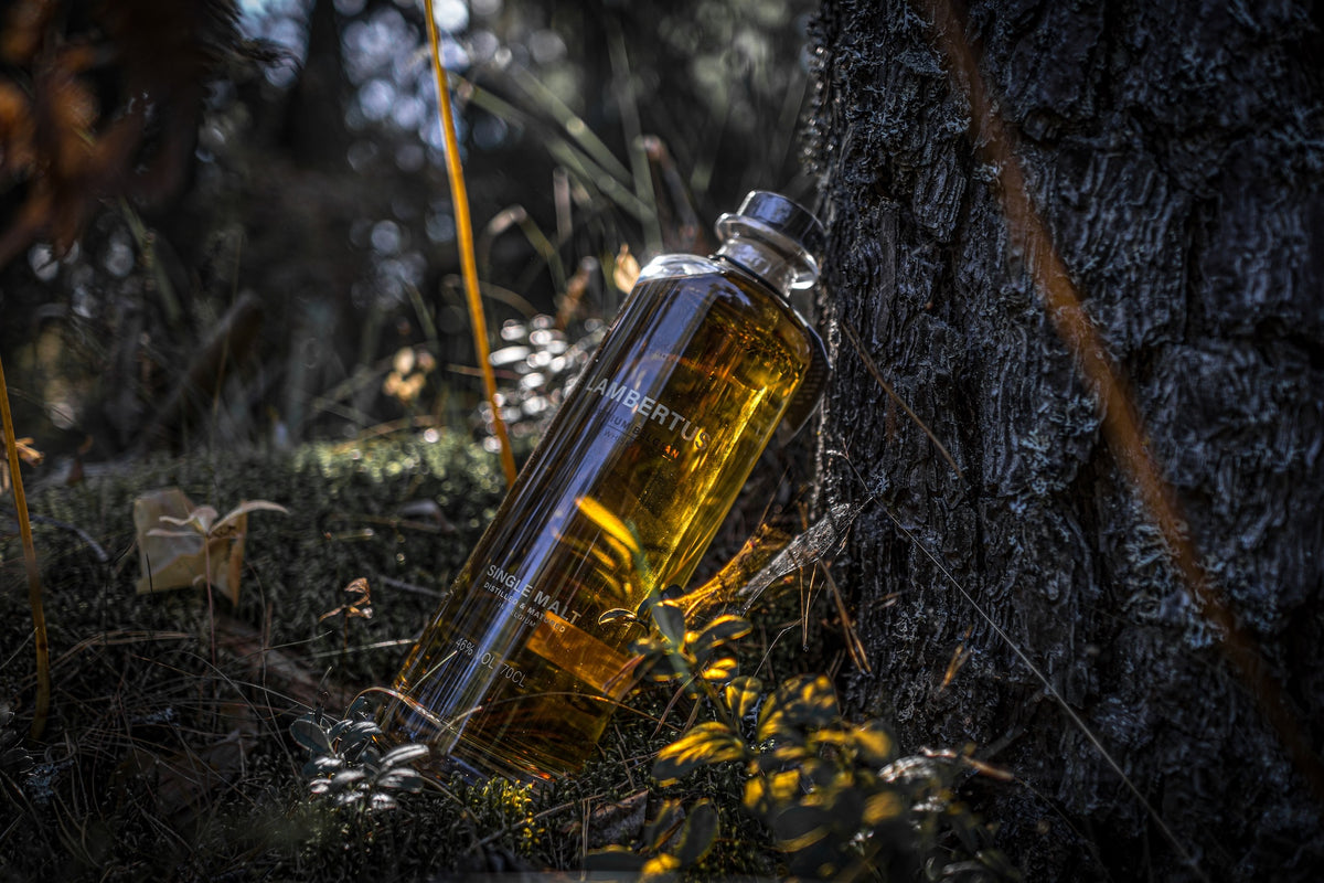 Lambertus Single Malt Whiskyflasche im Wald liegend an einen Baum gelehnt, umgeben von Moos und Lichtreflexen