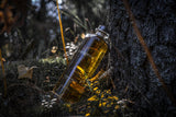 Lambertus Single Malt Whiskyflasche im Wald liegend an einen Baum gelehnt, umgeben von Moos und Lichtreflexen