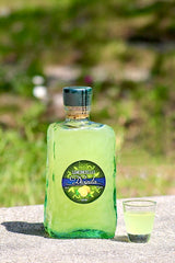 Limoncello Divinita Frasca Flasche auf Holztisch mit kleinem Glas und grünem Hintergrund