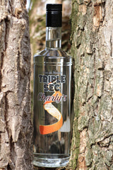 Flasche Triple Sec Charly’s zwischen zwei Baumstämmen, umgeben von Baumrinde