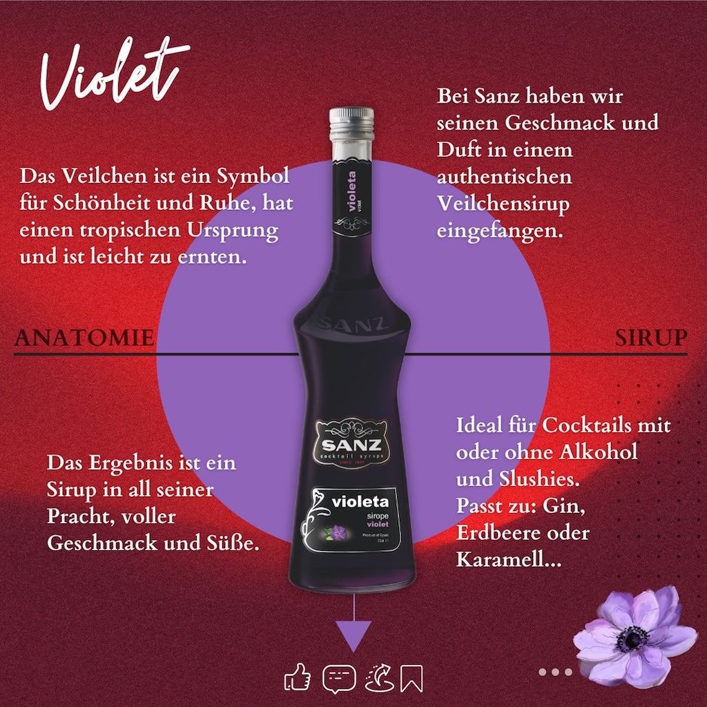 Flasche Sanz Violet Sirup vor rotem Hintergrund mit Text über Geschmack, Anwendung und Symbolik von Veilchen.