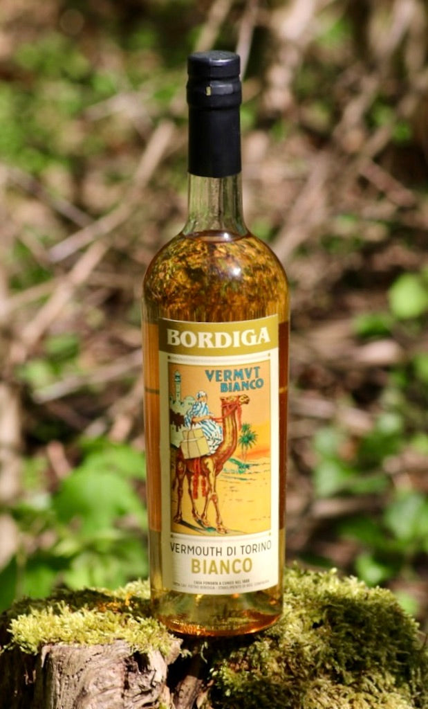 Bordiga Vermouth Bianco Flasche auf bemoostem Holz im Freien, Etikett mit Kamelillustration und Schriftzug Vermouth di Torino